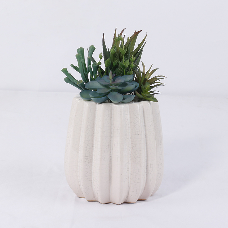 Home-Decor-Artificial-Mini-Succulent-with-Pot-Artificial-Plant-Succulents-for-Home-Decoration (3).jpg